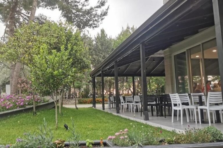 2 22 768x511